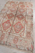 Antique Anatol Area Rug (4' x 7')